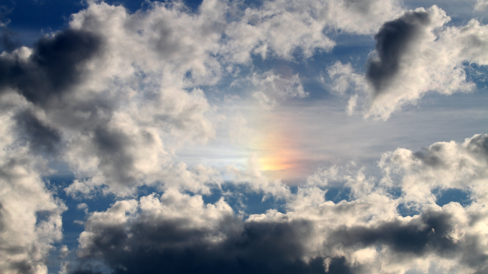 伊朗马术协会引入智能马鞍系统，实现实时数据监测与分析，提升骑乘体验。