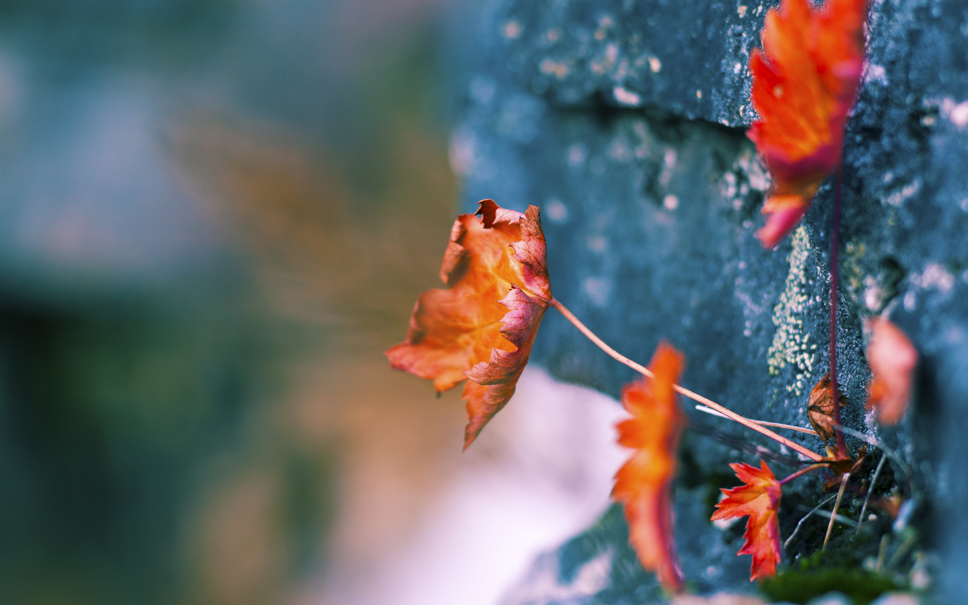 分析：马德里竞技神勇晋级，欧冠半决赛！，马德里竞技欧冠冠军2020