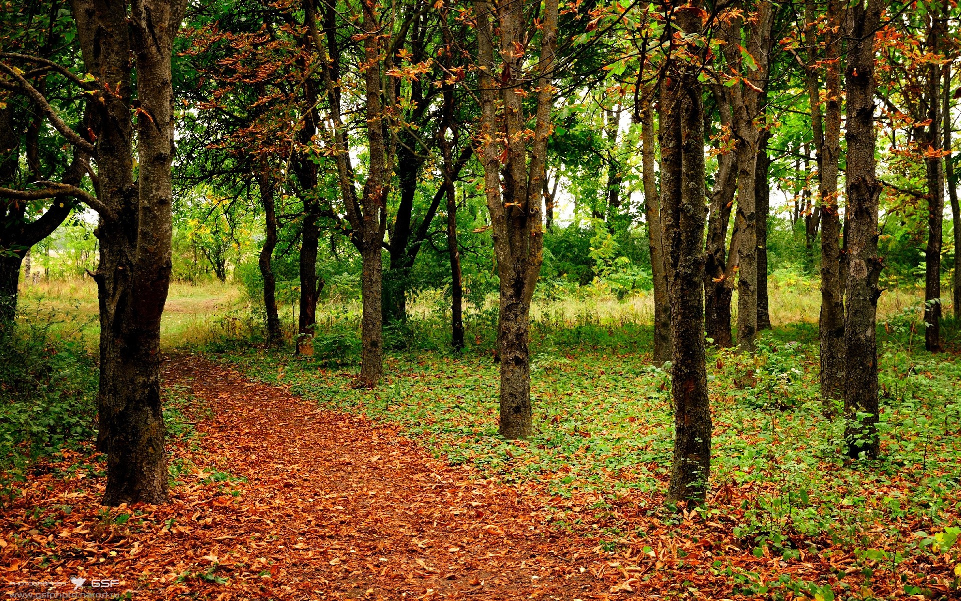 切尔西2-0狼队，状态回暖，切尔西vs狼队集锦