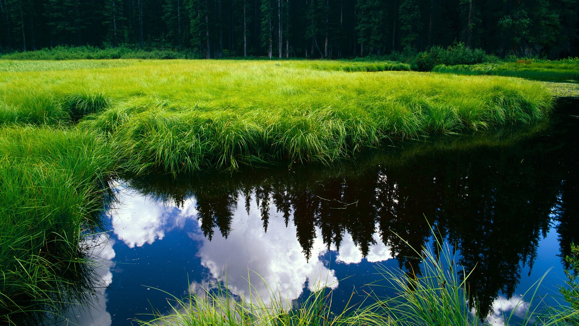 九游体育网页登陆-桑切斯回归意甲，重新加盟老东家助助攻球队，桑切斯转会