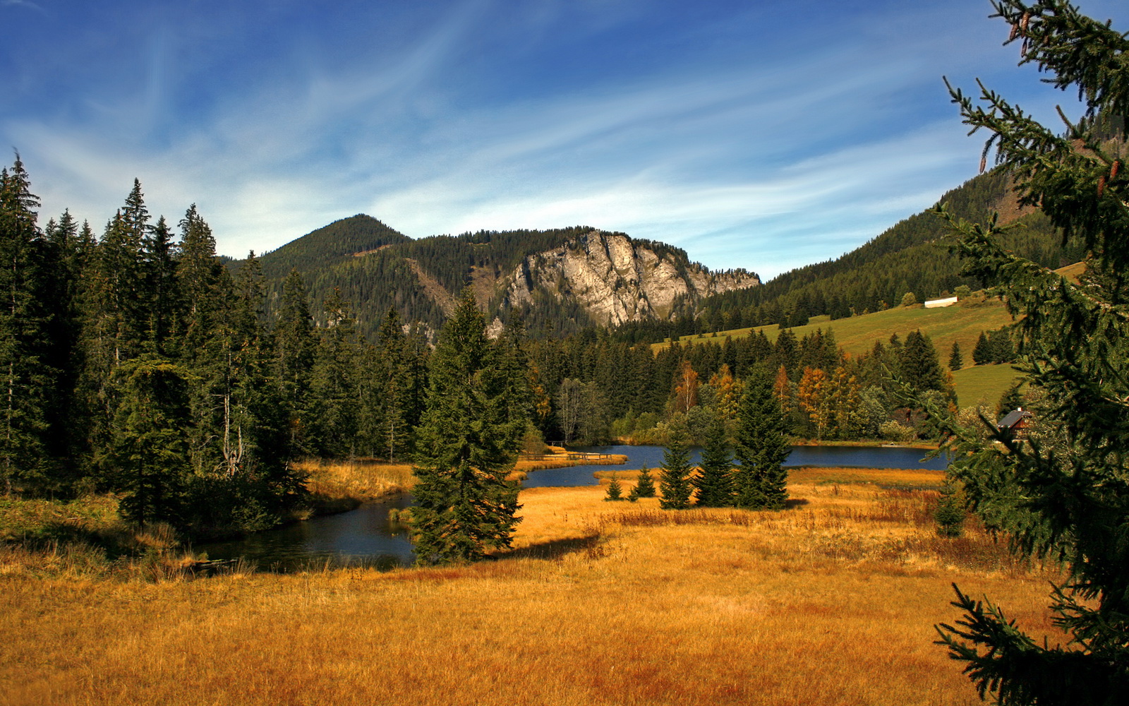 爱尔兰女足选手实力出众，挑战劲敌取胜，爱尔兰 足球队