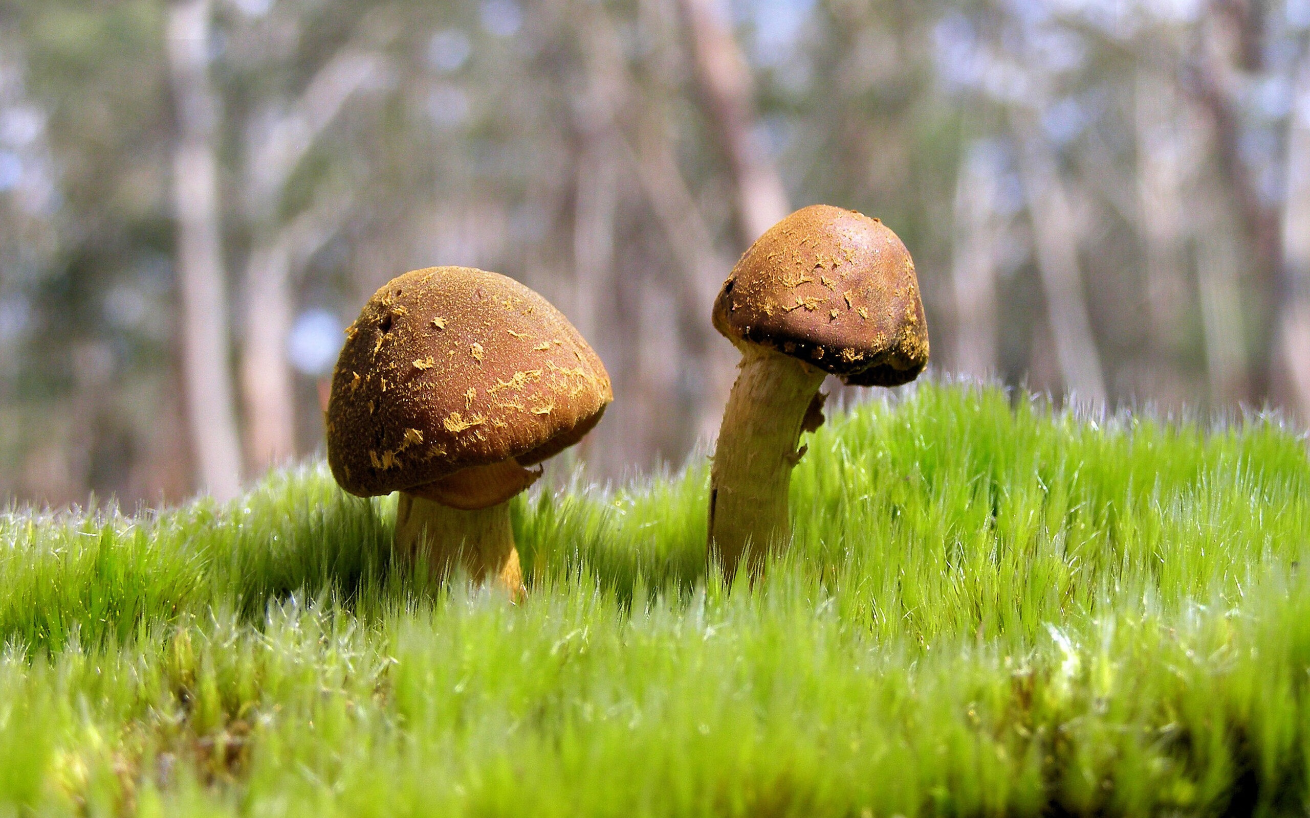 九游体育娱乐-维多利亚遭遇连续失利，球队士气低迷，维多利亚后期的具体时间