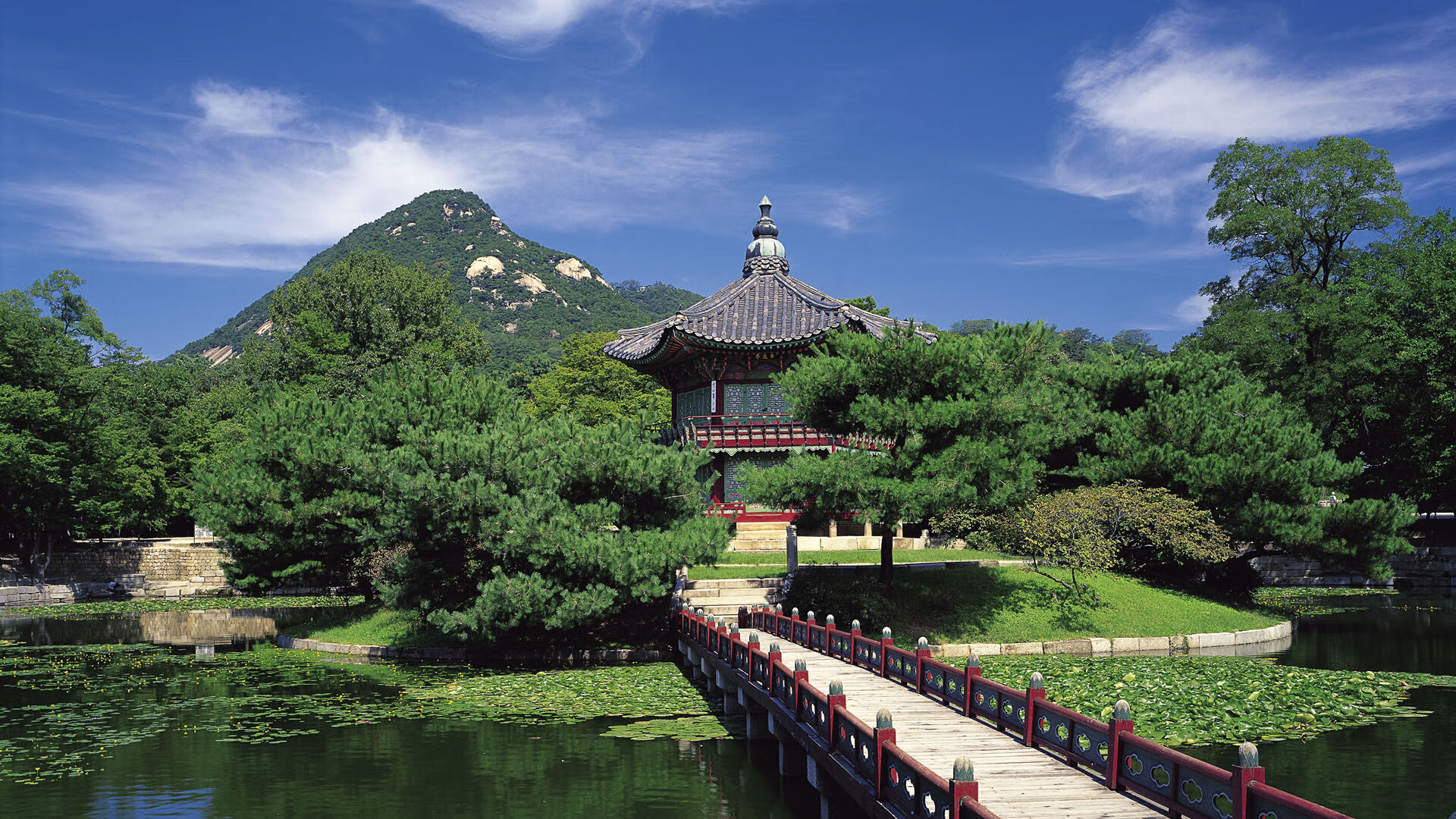 胜利目标，女足比赛球队备战状态强劲，女足又进球啦!