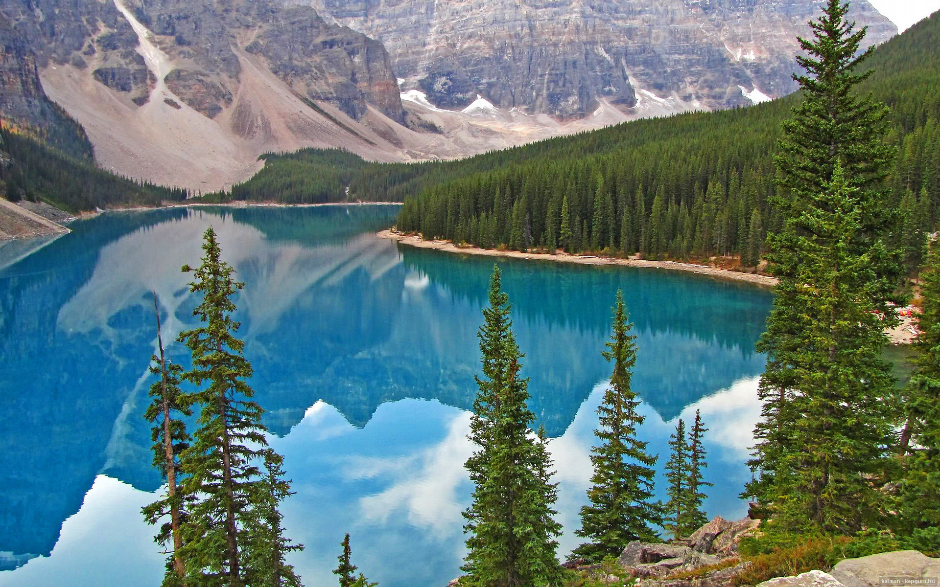 自由泳50米冠军出发反应仅0.59秒,自由泳50米标准成绩